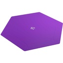 Dice Tray: Hex: Black/Purple Component