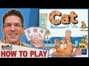 Cat Between Us How to Play Video