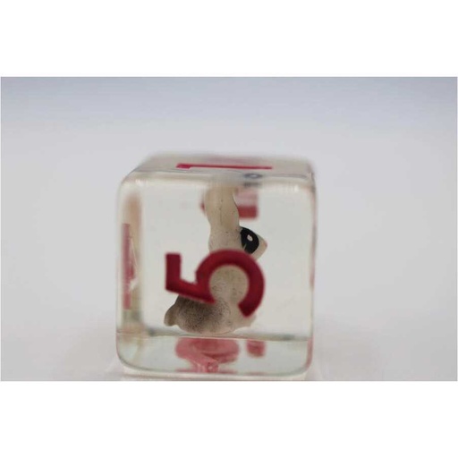 [FOM_2256] Foam Brain - Backyard Bunny RPG Dice Set