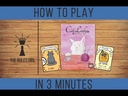 Cat Lady How to Play Video