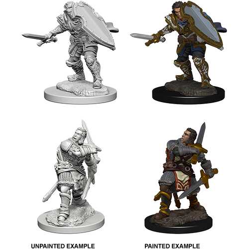 D&D Nolzur's Marvelous Miniatures: Human Paladin Male W03