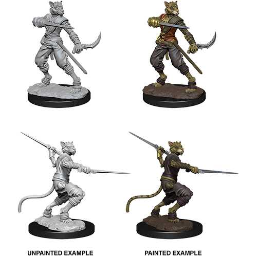 D&D Nolzur's Marvelous Miniatures: Tabaxi Rogue Male