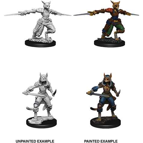 D&D Nolzur's Marvelous Miniatures: Tabaxi Rogue Female