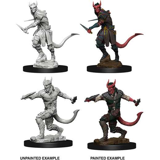 D&D Nolzur's Marvelous Miniatures: Tiefling Rogue Male