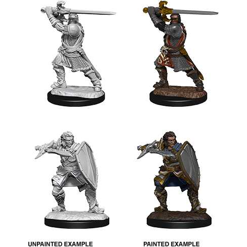 D&D Nolzur's Marvelous Miniatures: Human Paladin Male W14