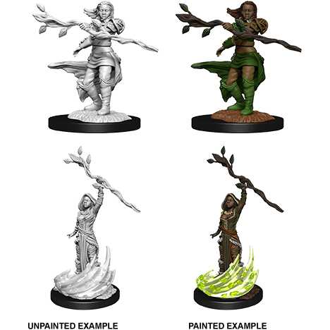 D&D Nolzur's Marvelous Miniatures: Human Druid Female W14