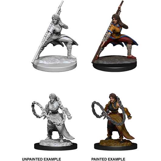 D&D Nolzur's Marvelous Miniatures: Human Monk Female