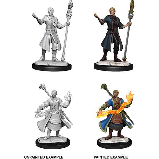 D&D Nolzur's Marvelous Miniatures: Half-Elf Wizard Male