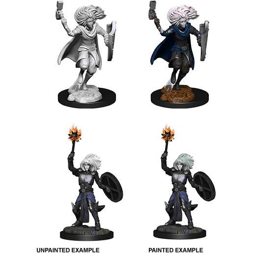 D&D Nolzur's Marvelous Miniatures: Changeling Cleric Male