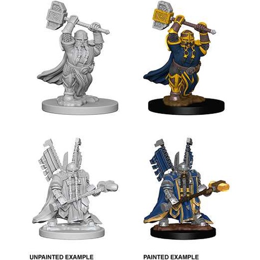 [WZK_72630] D&D Nolzur's Marvelous Miniatures: Dwarf Paladin Male