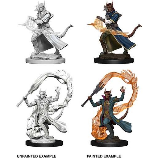 [WZK_73201] D&D Nolzur's Marvelous Miniatures: Tiefling Sorcerer Male