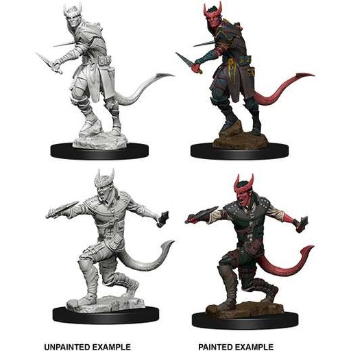 [WZK_73338] D&D Nolzur's Marvelous Miniatures: Tiefling Rogue Male