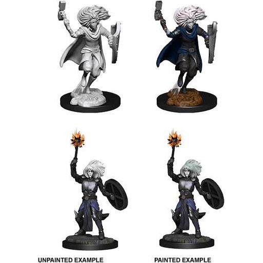 [WZK_90237] D&D Nolzur's Marvelous Miniatures: Changeling Cleric Male